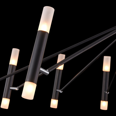 Потолочный светильник Maytoni MOD620CL-24B