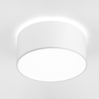 Потолочный светильник Cameron 9605