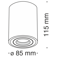 Потолочный светильник Maytoni C016CL-01W