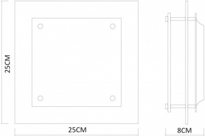 Потолочный светильник Rapunzel A4868PL-1CC