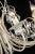 Подвесная люстра Maytoni Princess ARM270-12-R