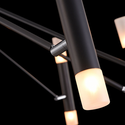 Потолочный светильник Maytoni MOD620CL-24B